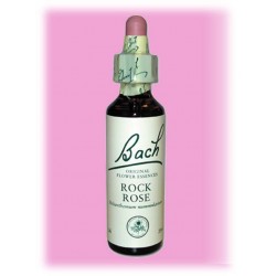 Equilibre émotionnel fleur de bach Rock Rose (Hélianthème) - 20 ml