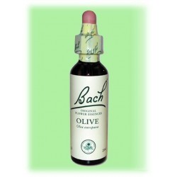Equilibre émotionnel fleur de bach Olive (Olivier)- 20 ml
