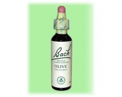 Equilibre émotionnel fleur de bach Olive (Olivier)- 20 ml