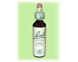 Equilibre émotionnel fleur de bach Oak (Chêne) - 20 ml