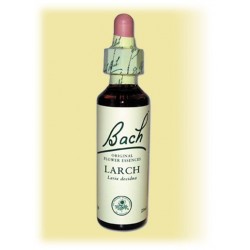 Equilibre émotionnel fleur de bach Larch (Mélèze) - 20 ml