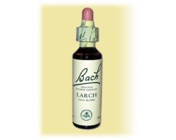 Equilibre émotionnel fleur de bach Larch (Mélèze) - 20 ml