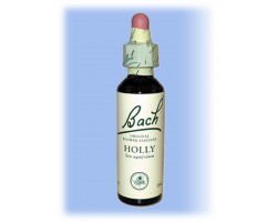Equilibre émotionnel fleur de bach Holly (Houx) - 20 ml