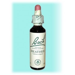 Equilibre émotionnel fleur de bach Heather (Bruyère) - 20 ml