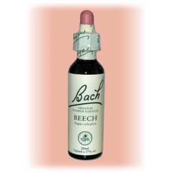 Equilibre émotionnel fleur de bach Beech (Hêtre) - 20 ml