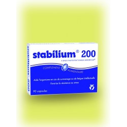 Renforcement de l'activité intellectuelle Stanilium boîte de 90 capsules