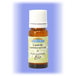 Huile essentielle Lavandin - Lavandula x intermedia 10 ml