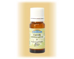 Huile essentielle Cannelle rameaux - Cinnamomum zeylanicum 10 ml