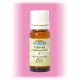 Huile essentielle Patchouly - Pogostemon cablin 30 ml