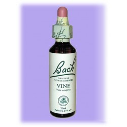 Equilibre émotionnel fleur de bach Vine (Vigne) - 20 ml