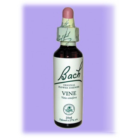 Equilibre émotionnel fleur de bach Vine (Vigne) - 20 ml